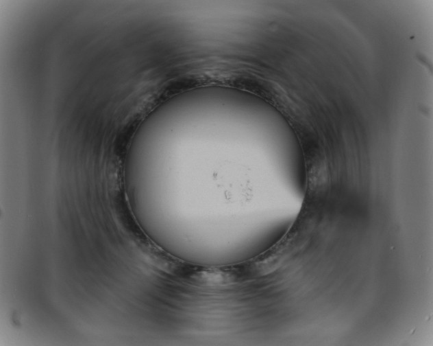 X0000097670464200803071559