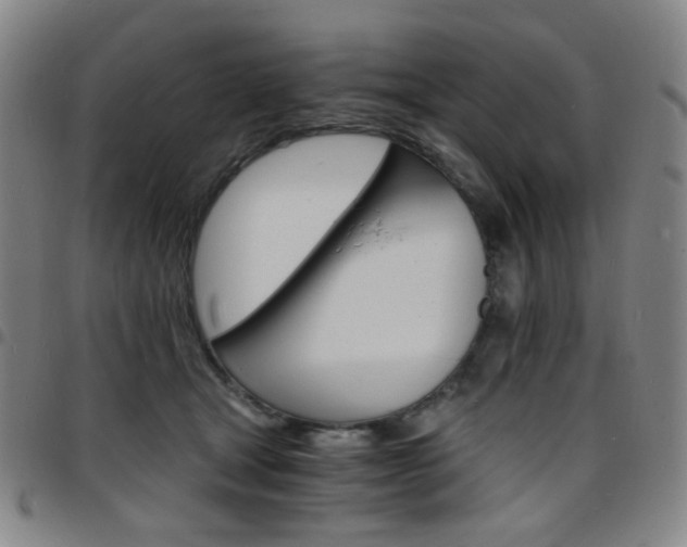 X0000097670465200803071559