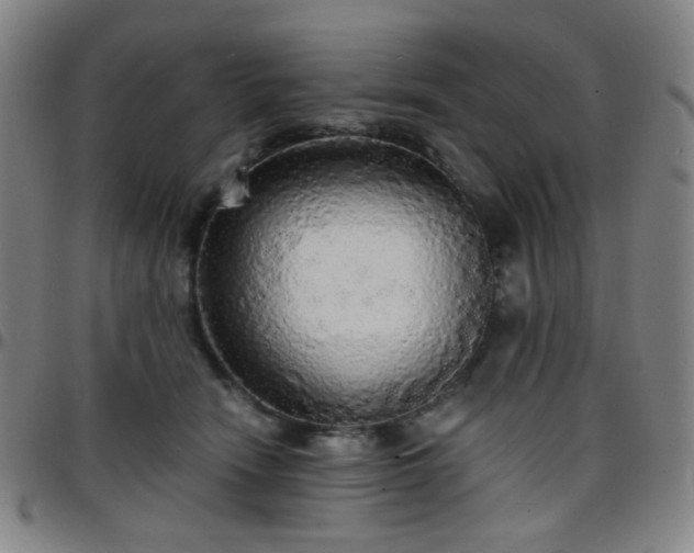 X0000097670466200803071559