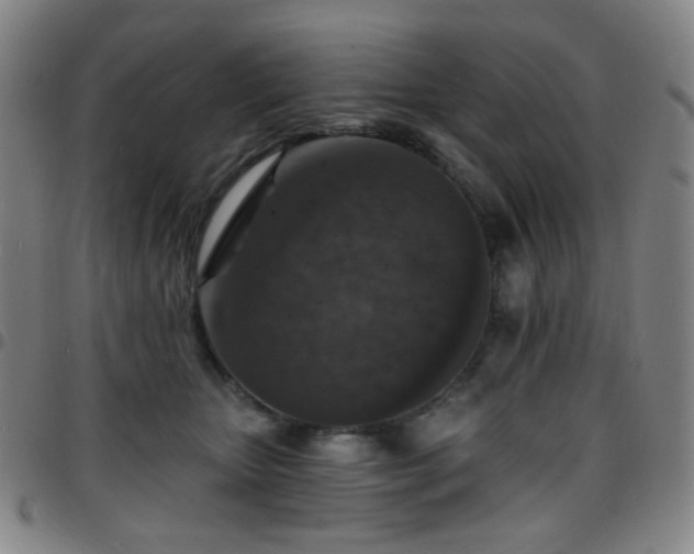 X0000097670467200803071559