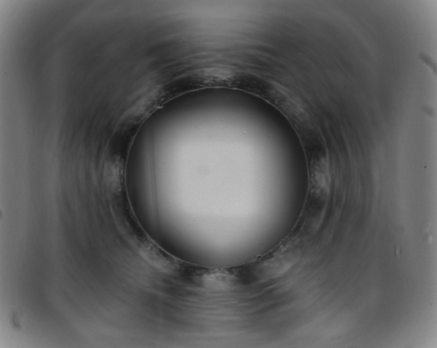 X0000097670468200803071559