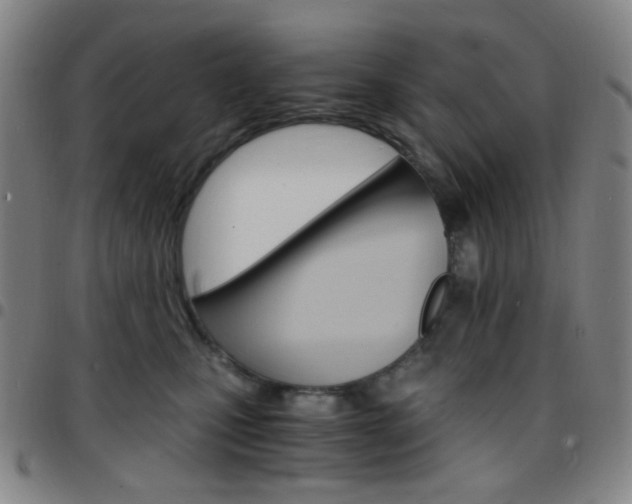 X0000097670471200803071559