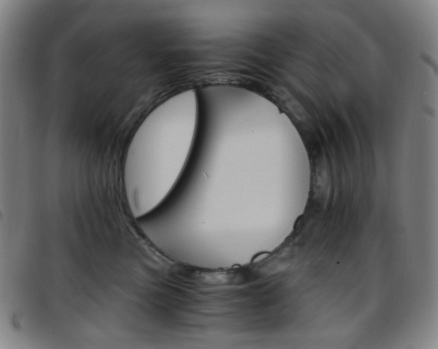 X0000097670473200803071559