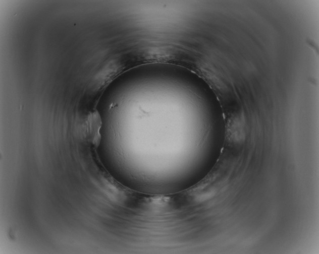 X0000097670474200803071559