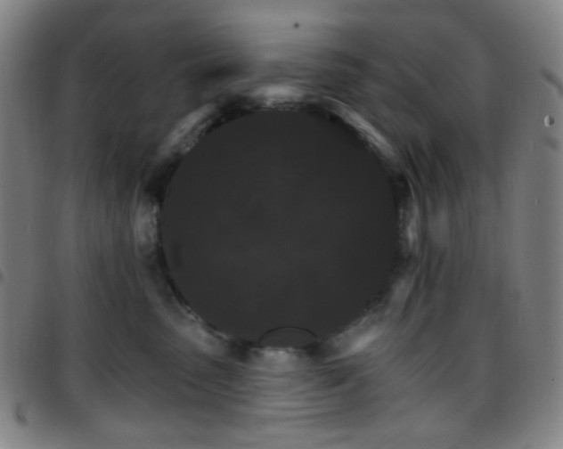 X0000097670475200803071559