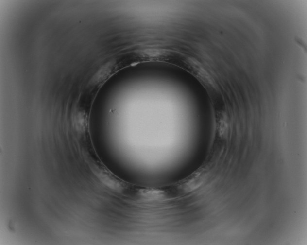X0000097670476200803071559