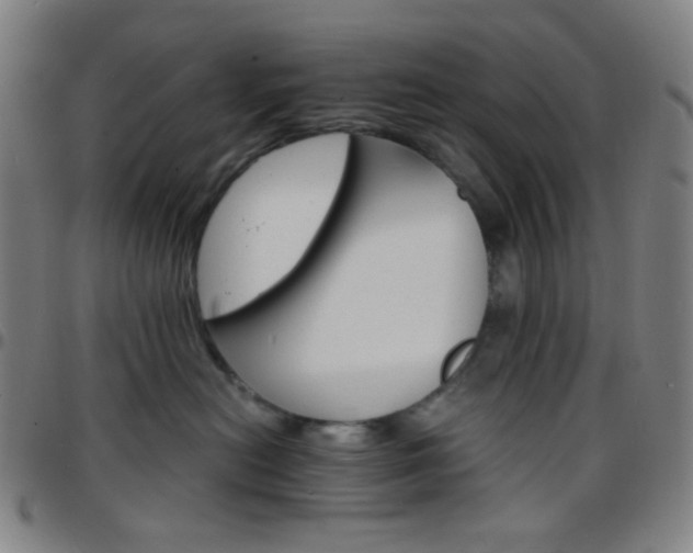 X0000097670478200803071559