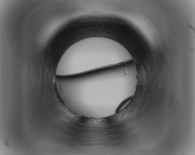 X0000097670479200803071559