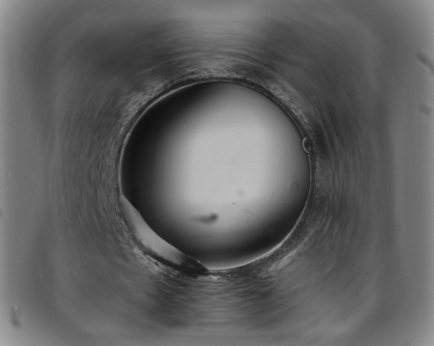 X0000097670481200803071558