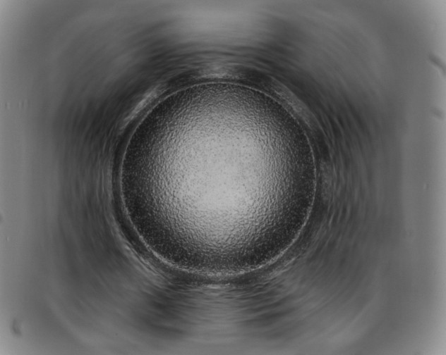 X0000097670482200803071558