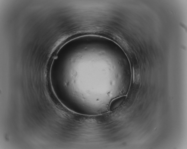 X0000097670483200803071558