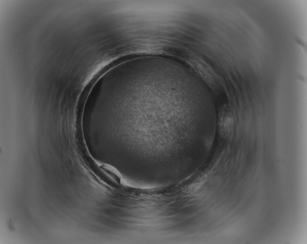 X0000097670484200803071558