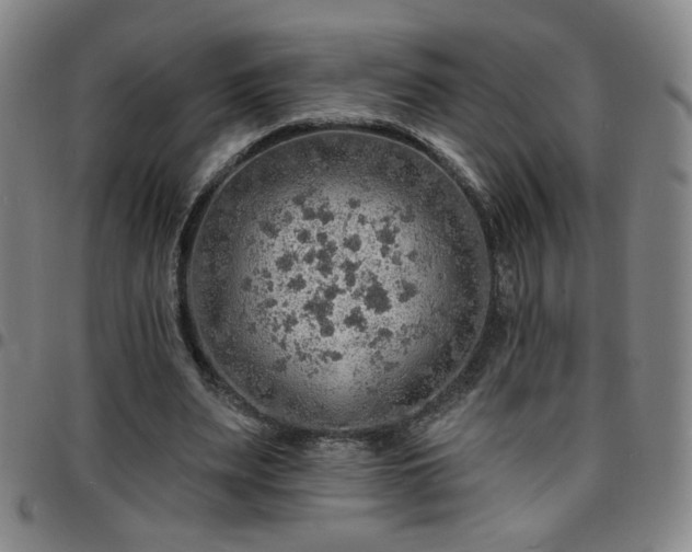 X0000097670487200803071558