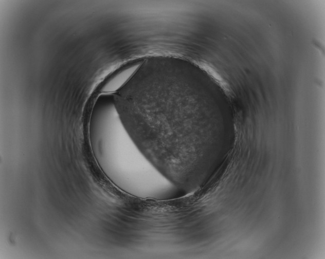 X0000097670488200803071558