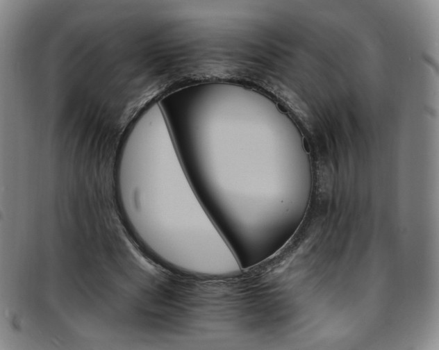 X0000097670489200803071558