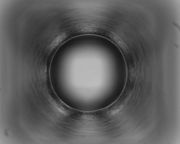 X0000097670490200803071558