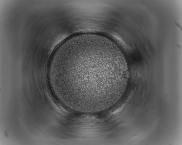 X0000097670491200803071558