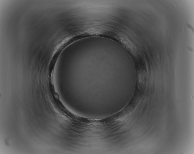 X0000097670492200803071558