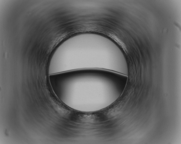 X0000097670493200803071558