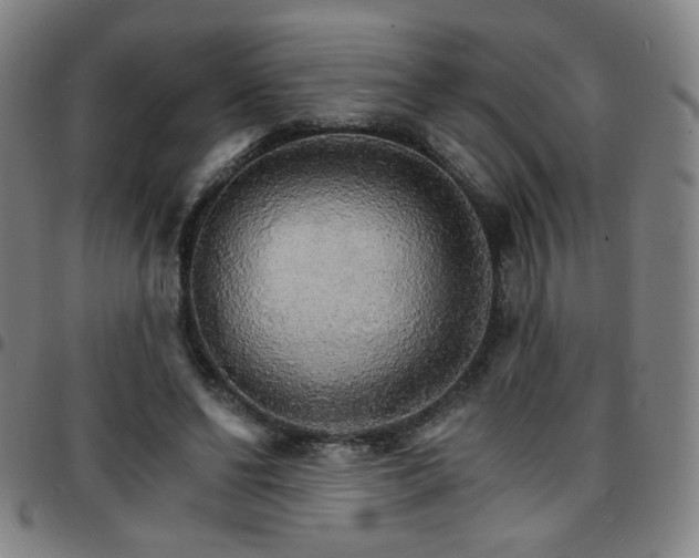 X0000097670494200803071558