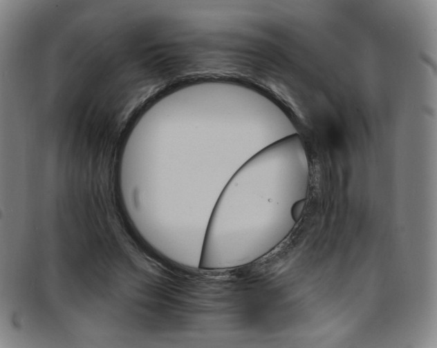 X0000097670495200803071558