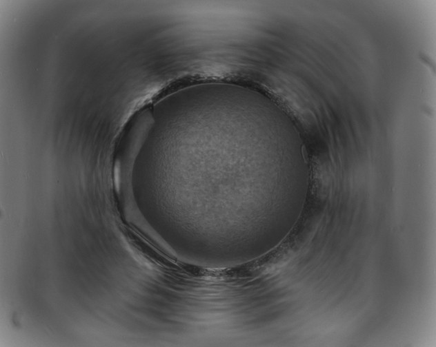 X0000097670496200803071558