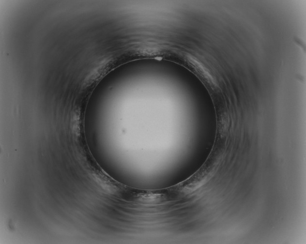 X0000097670497200803071558