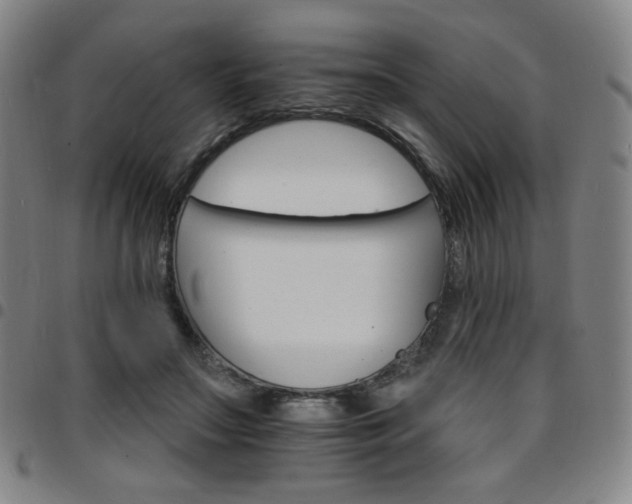 X0000097670499200803071558