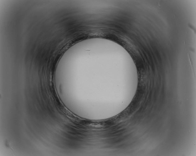 X0000097670502200803071558