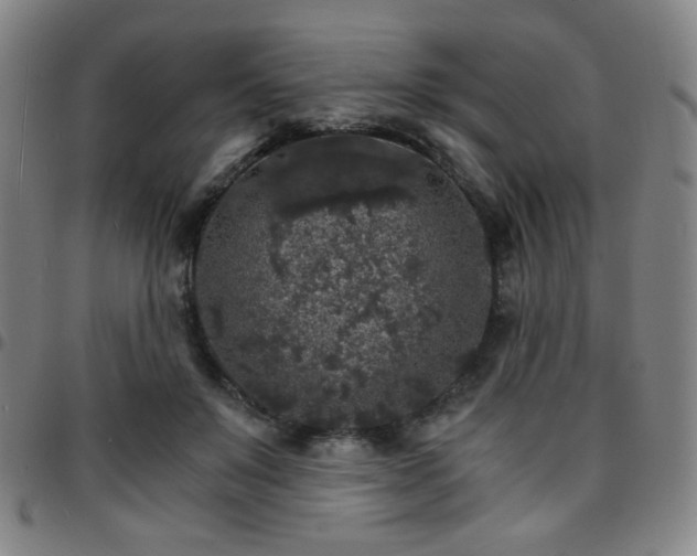 X0000097670503200803071558