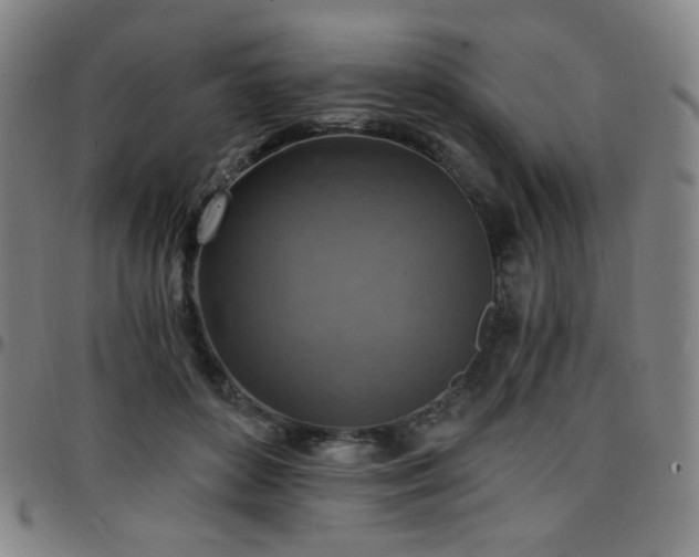X0000097670504200803071558