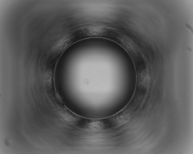 X0000097670505200803071558