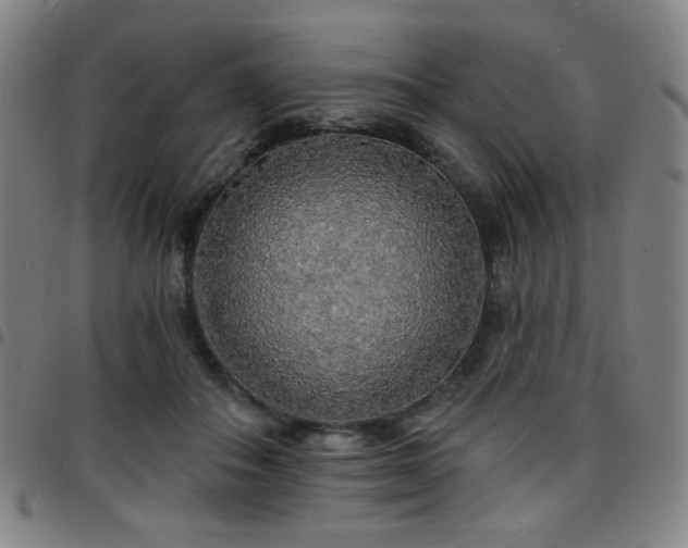 X0000097670506200803071558