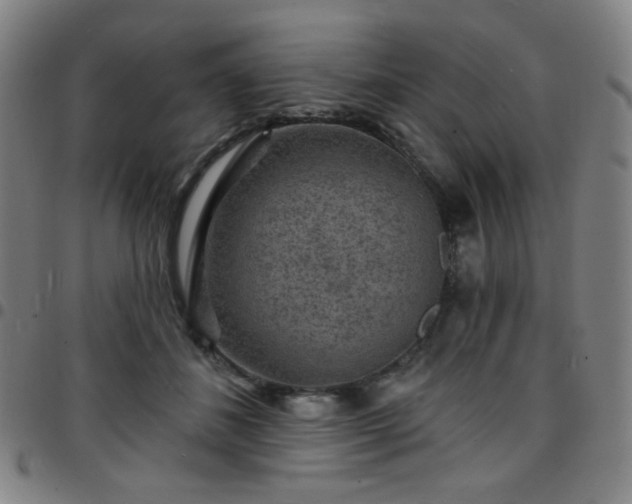 X0000097670508200803071558