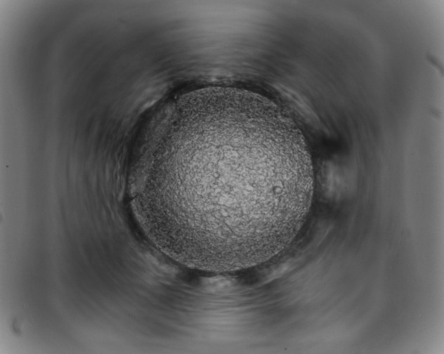 X0000097670511200803071558