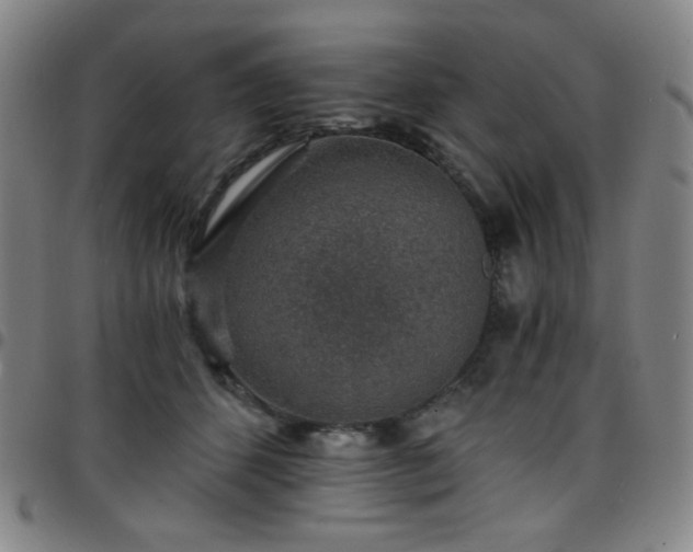 X0000097670512200803071558