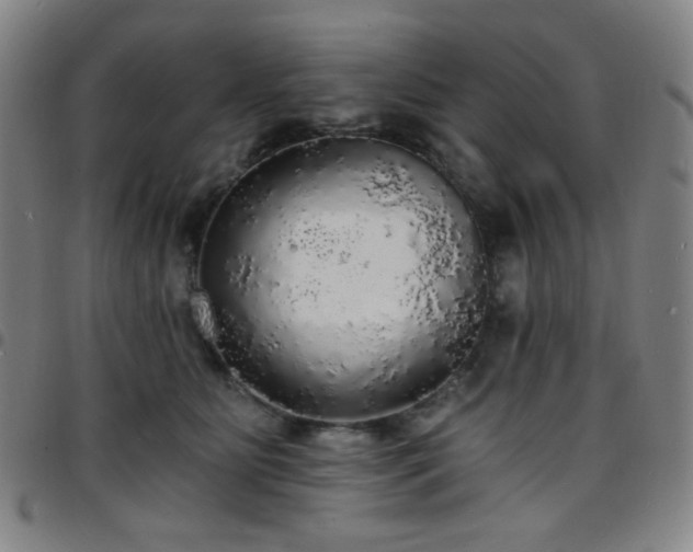 X0000097670515200803071558
