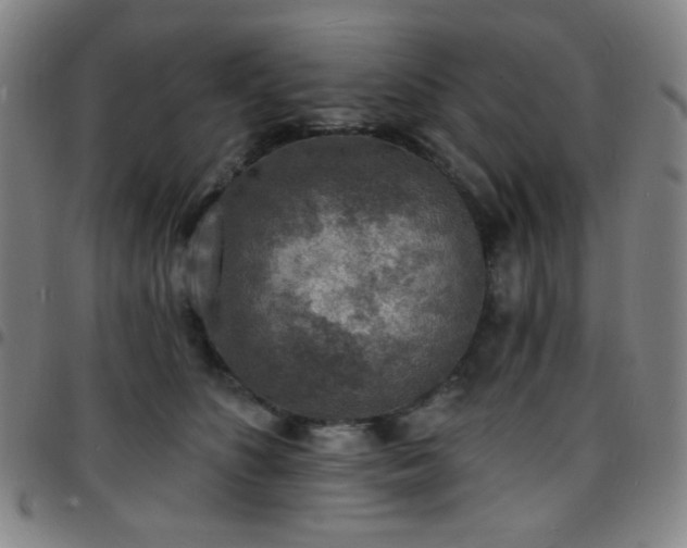 X0000097670516200803071558