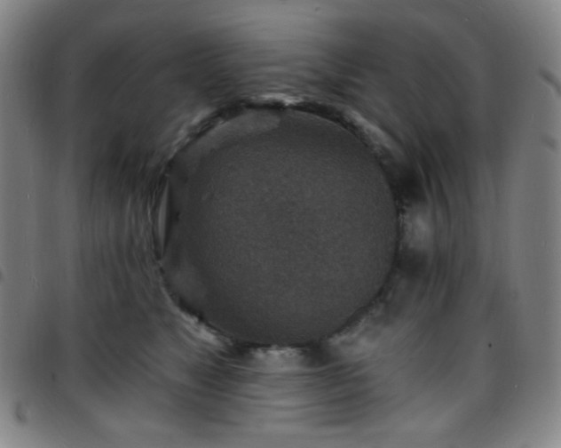 X0000097670517200803071558