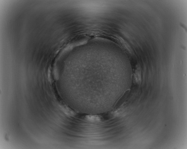 X0000097670520200803071558