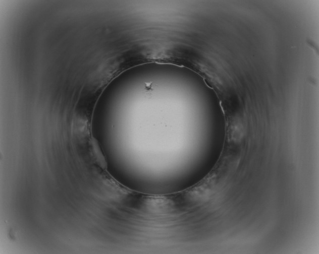 X0000097670521200803071558