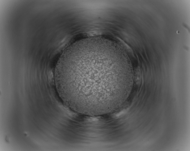 X0000097670523200803071557