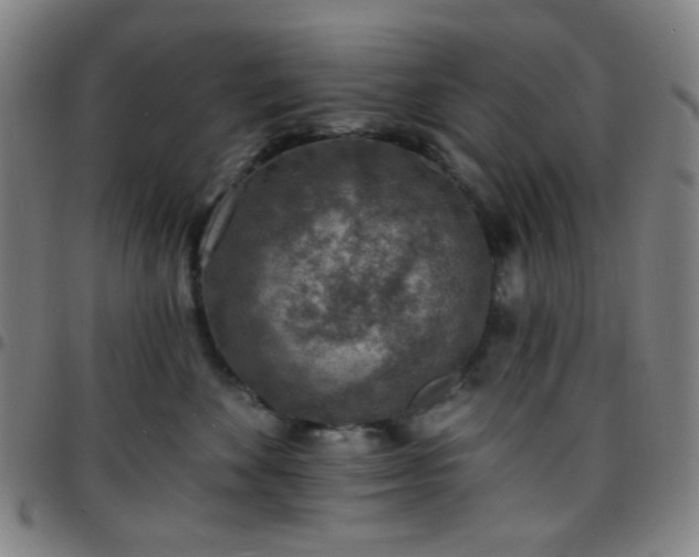 X0000097670524200803071557