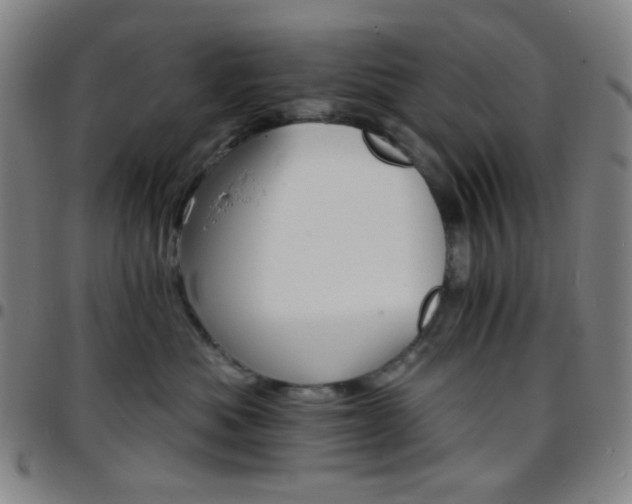 X0000097670525200803071557