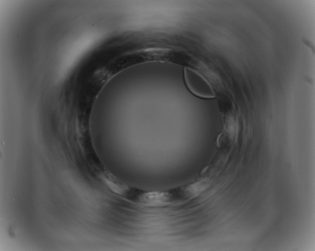 X0000097670526200803071557
