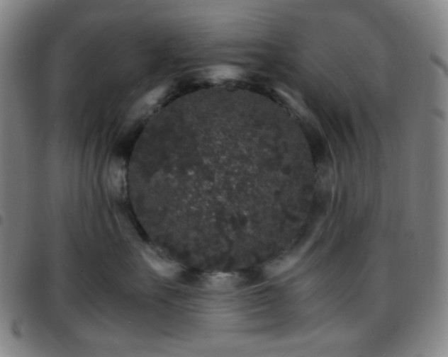 X0000097670527200803071557