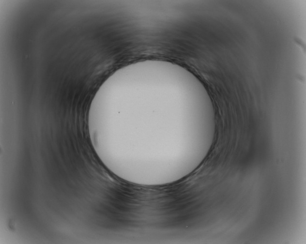 X0000097670528200803071557