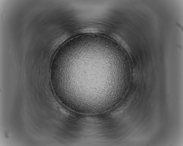 X0000097670529200803071557