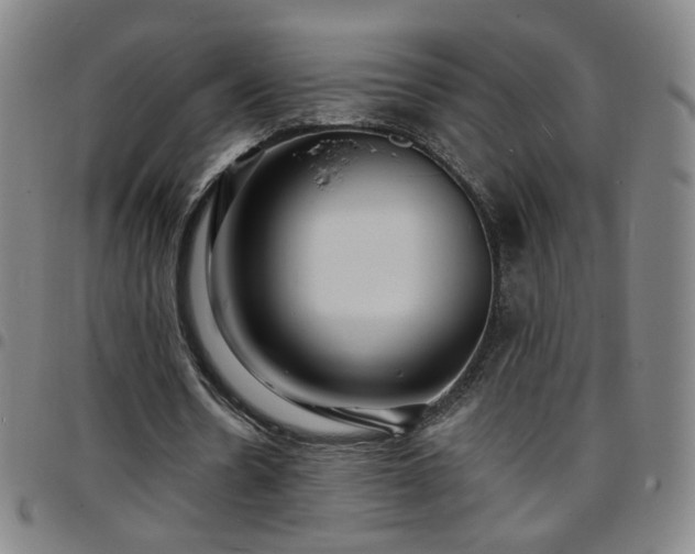 X0000097670530200803071557