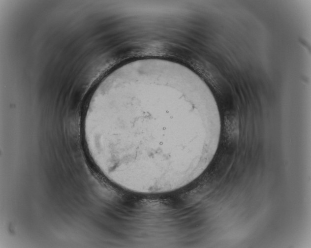 X0000097670534200803071557